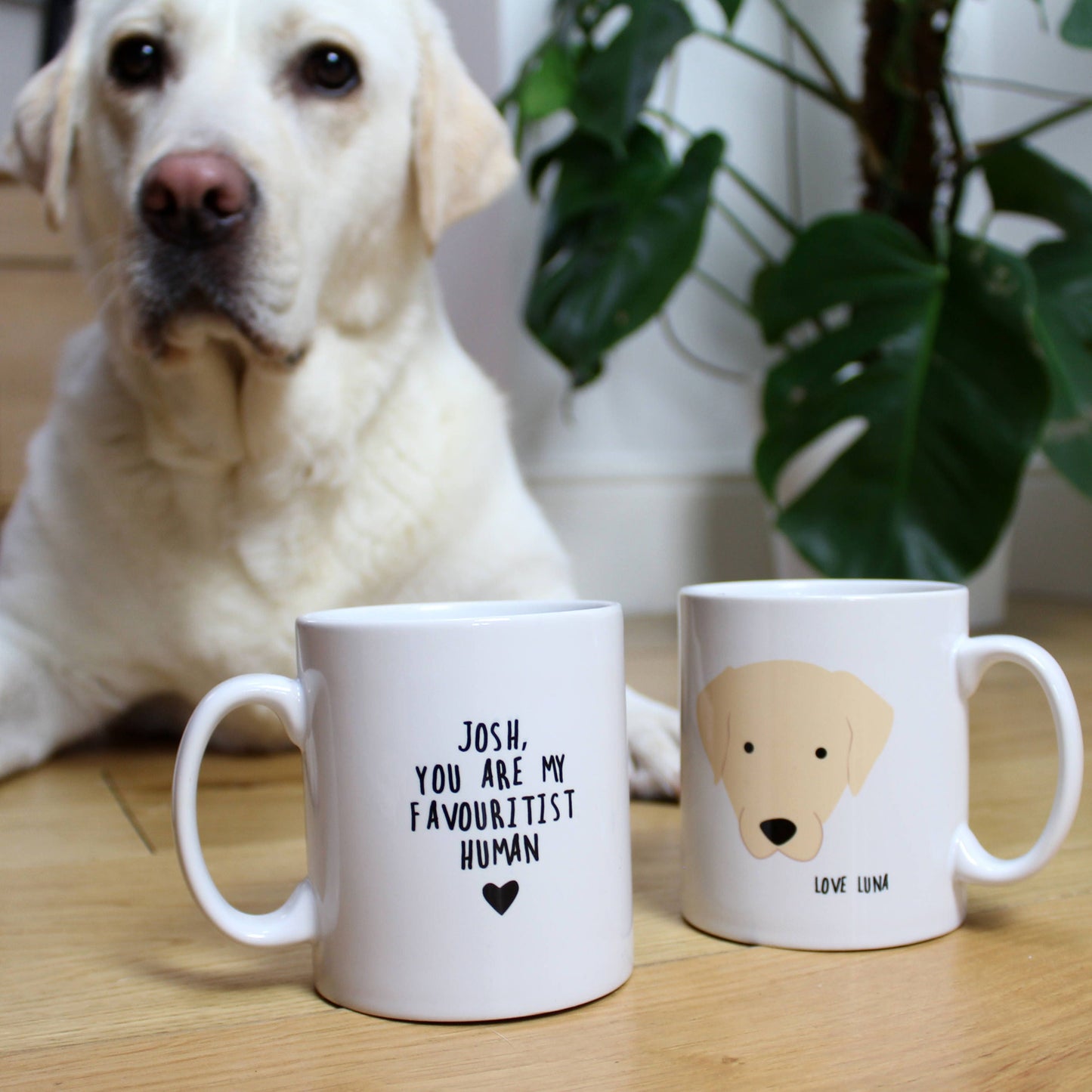 Favourite Human Personalised Dog Mug