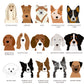 Personalised Dog Confetti Birthday Card