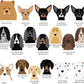 Personalised 'From The Dog' And Me Birthday Card
