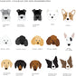 Favourite Human Personalised Dog Mug