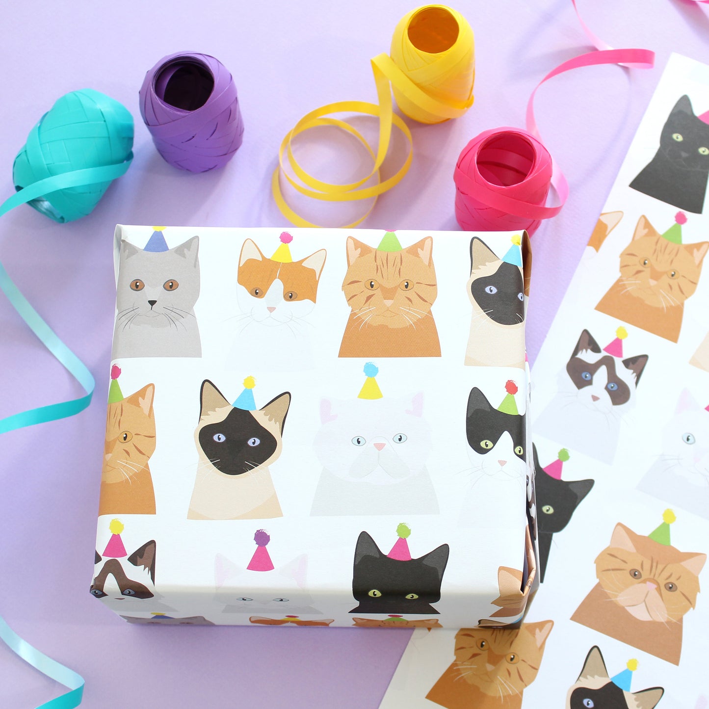 Birthday cat wrapping paper (x 2 sheets)