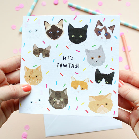 Cat Fur baby Birthday Card