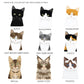 Personalised Cat Christmas Wrapping Paper