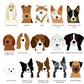 The Dogs Human Personalised Socks